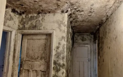 Government consults on extending Awaab’s Law to private renters