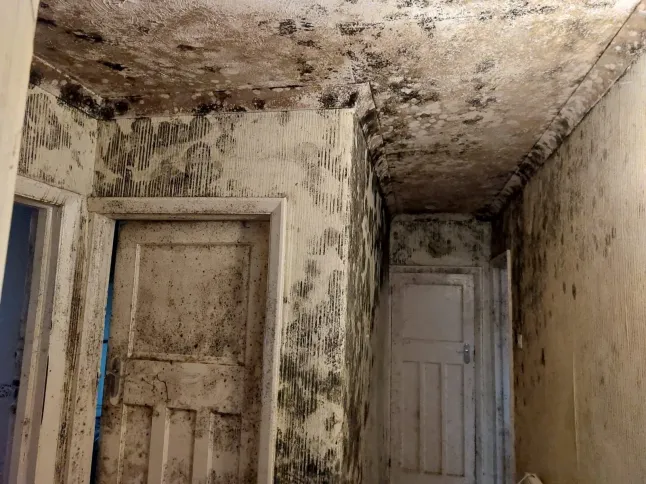 Government consults on extending Awaab’s Law to private renters